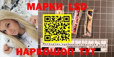 хмурый Краснознаменск
